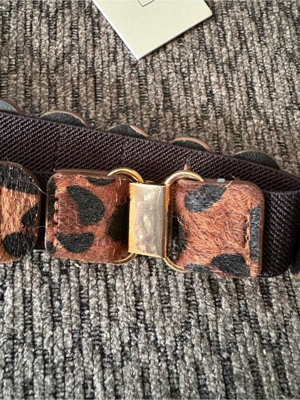 NWT Rachel Zoe Anthropologie Leopard Print Faux Calf Hair Stretch Belt L/XL - Picture 5 of 10